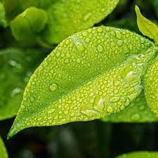 Mega Menu Banner1001228