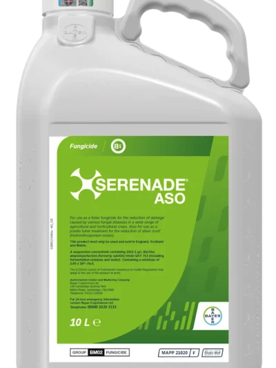 Serenade ASO